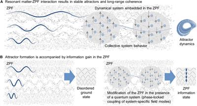 The Common Basis of Memory and Consciousness: Understanding the Brain as a Write–Read Head Interacting With an Omnipresent Background Field